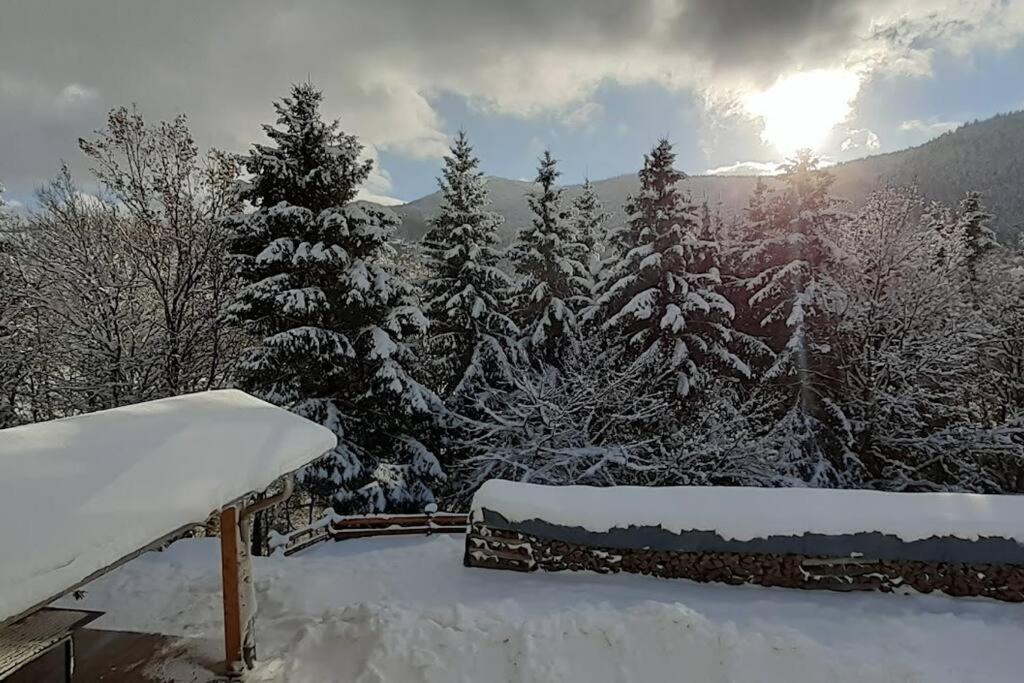 Appartement Cosy A Bussang Dış mekan fotoğraf